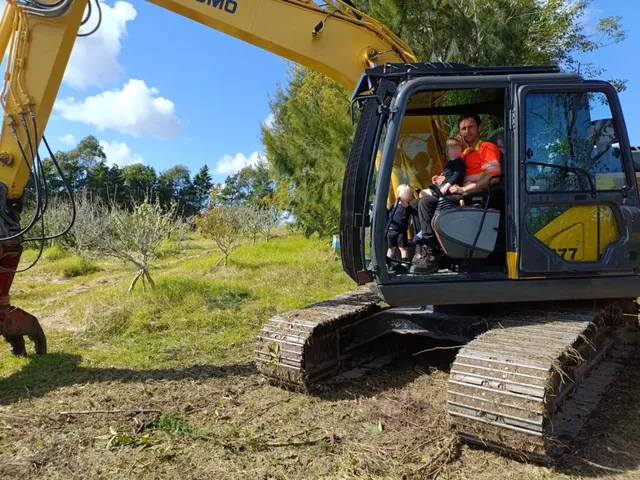 Shelterbelt removal of dead leylandii in Kerikeri