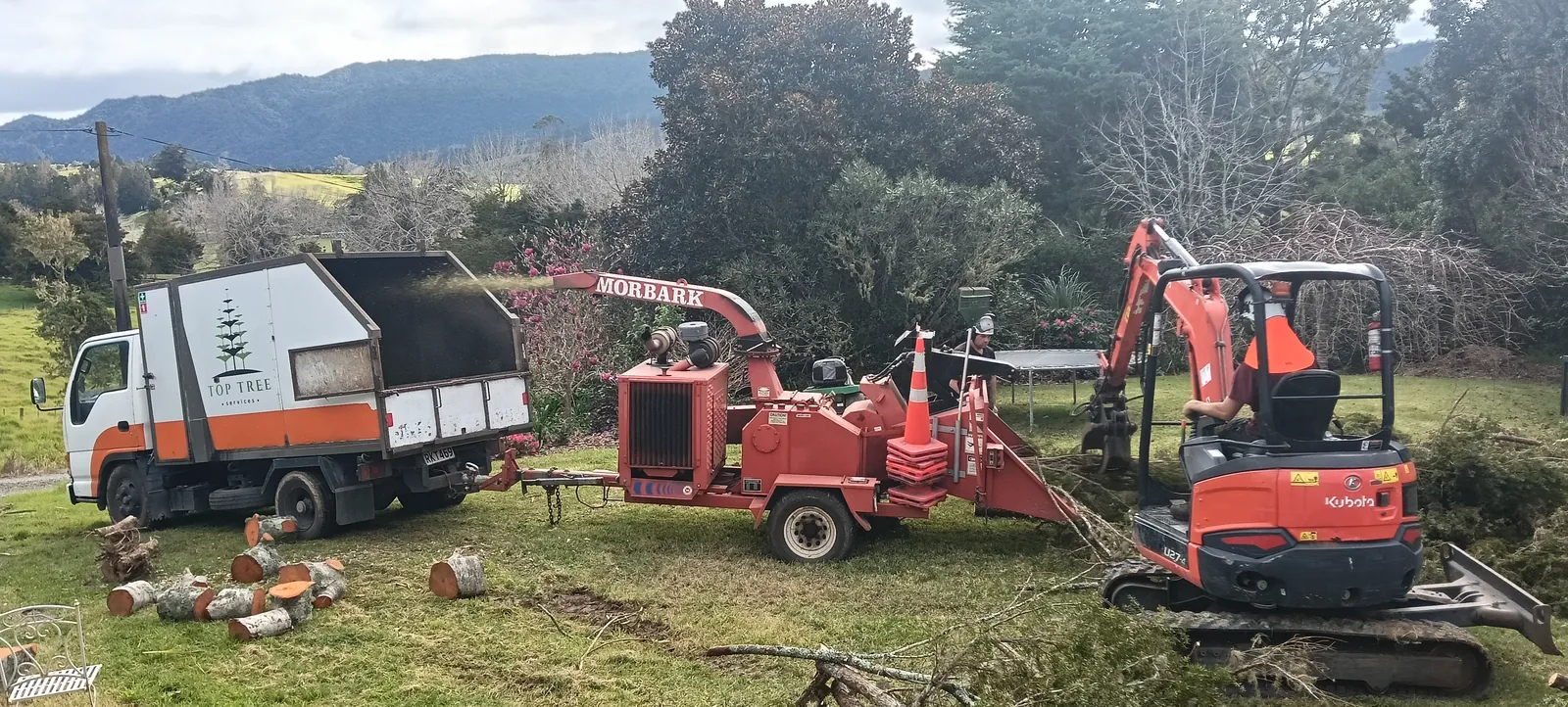 Multiple large Totara blocking morning sun felled and chipped in Okaihau